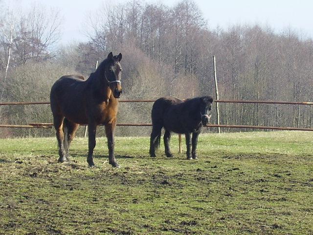 Lucka a Ketty.jpg