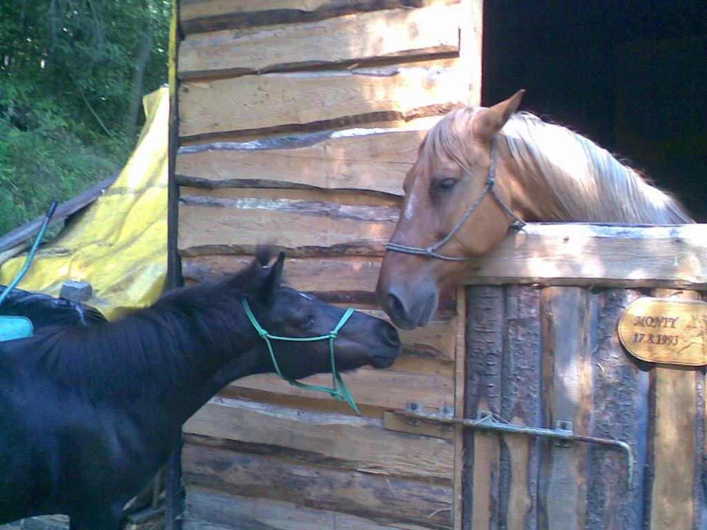 Lucinka a Monty.jpg